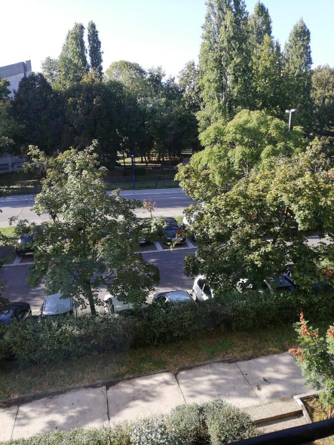 Vanja * Belgrad